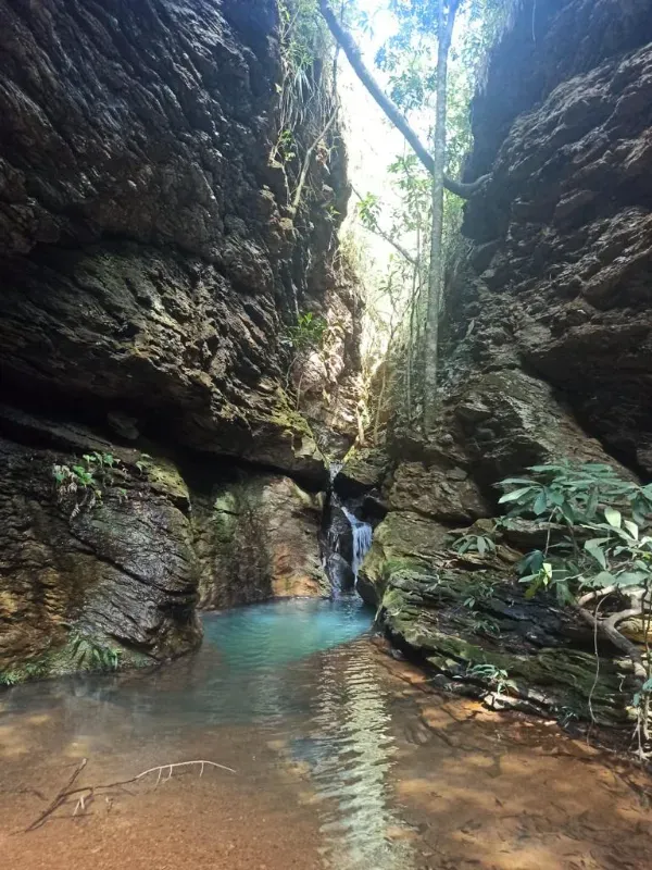 Fazenda em Patos de Minas/Minas Gerais — Ref 20DTX8 — Imagem 5