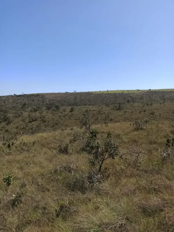Fazenda em Patos de Minas/Minas Gerais — Ref 20DTX8 — Imagem 11