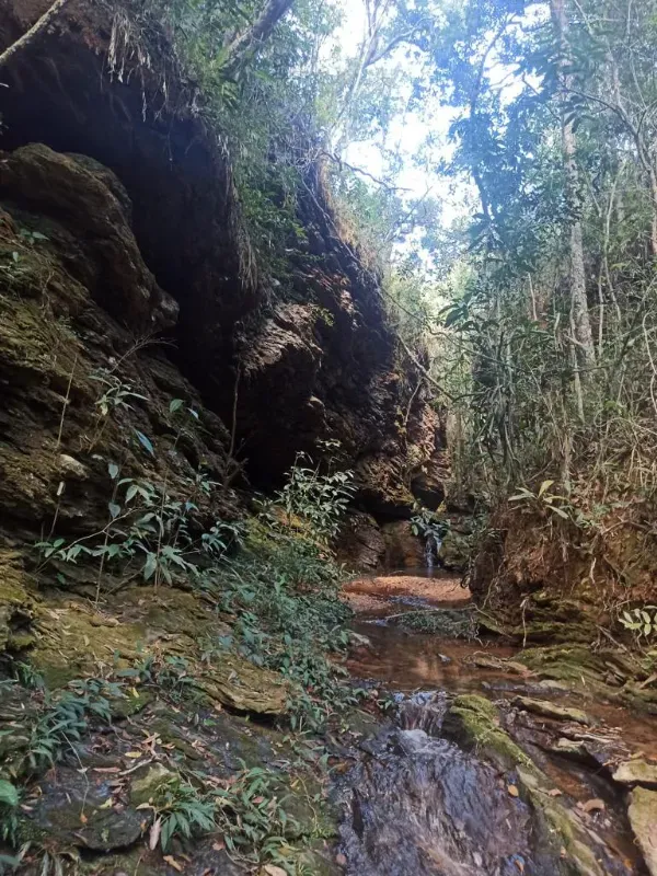 Fazenda em Patos de Minas/Minas Gerais — Ref 20DTX8 — Imagem 13