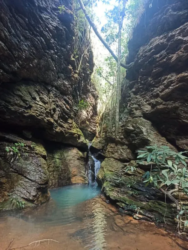 Fazenda em Patos de Minas/Minas Gerais — Ref 20DTX8 — Imagem 14