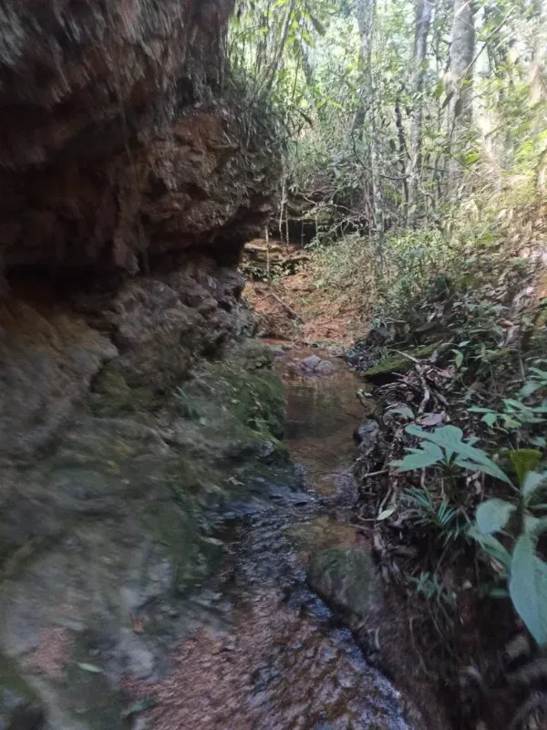 Fazenda em Patos de Minas/Minas Gerais — Ref 20DTX8 — Imagem 16