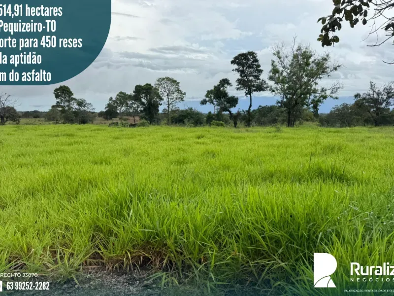 Imóvel rural em Pequizeiro/Tocantins — Ref XHXAHU1