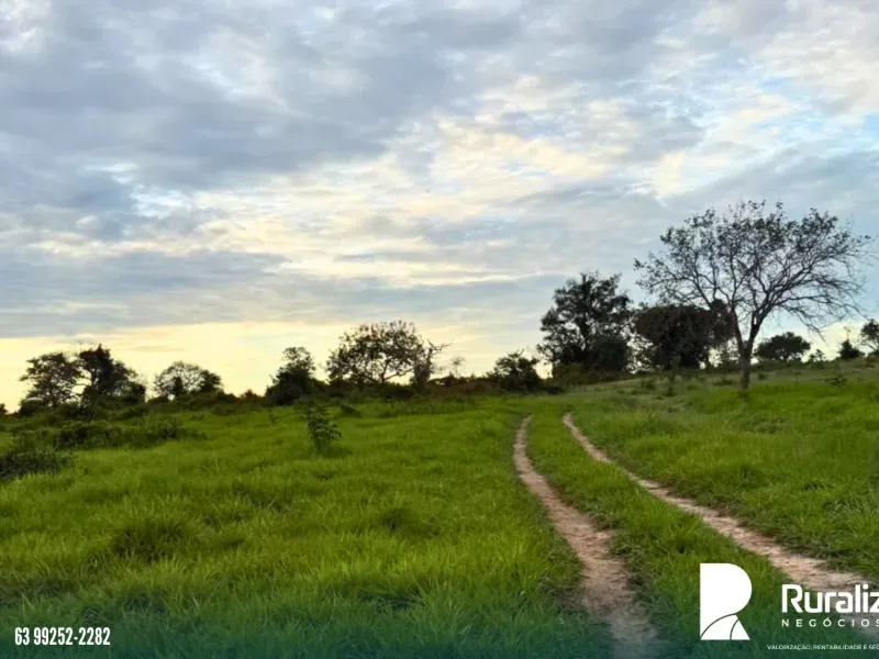 Fazenda em Pequizeiro/Tocantins — Ref XHXAHU — Imagem 3