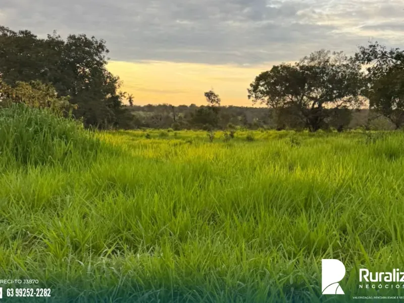 Fazenda em Pequizeiro/Tocantins — Ref XHXAHU — Imagem 4