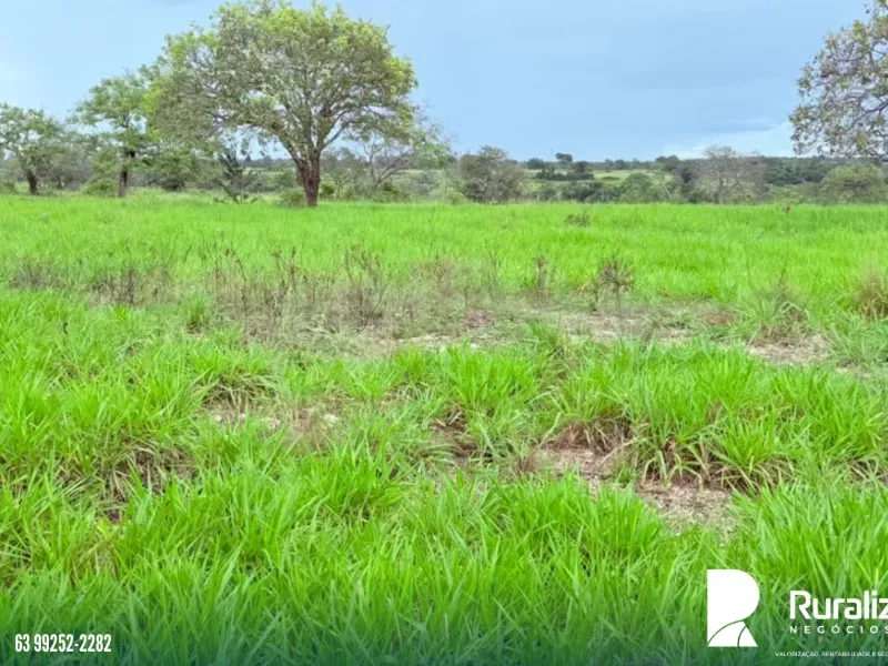 Fazenda em Pequizeiro/Tocantins — Ref XHXAHU — Imagem 5
