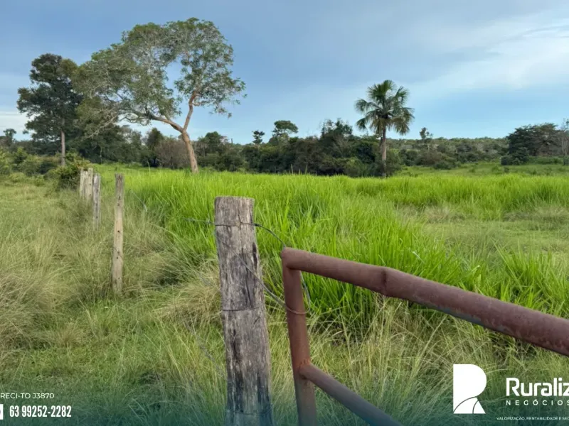 Fazenda em Pequizeiro/Tocantins — Ref XHXAHU — Imagem 6