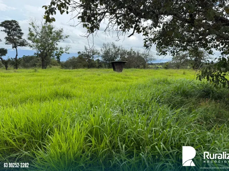 Fazenda em Pequizeiro/Tocantins — Ref XHXAHU — Imagem 7