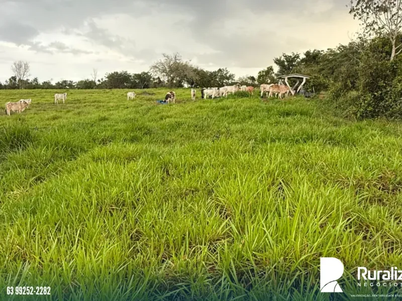 Fazenda em Pequizeiro/Tocantins — Ref XHXAHU — Imagem 9