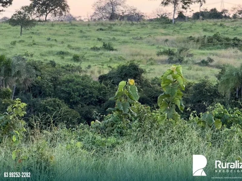 Fazenda em Pequizeiro/Tocantins — Ref XHXAHU — Imagem 10