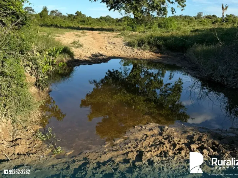 Fazenda em Pequizeiro/Tocantins — Ref XHXAHU — Imagem 11
