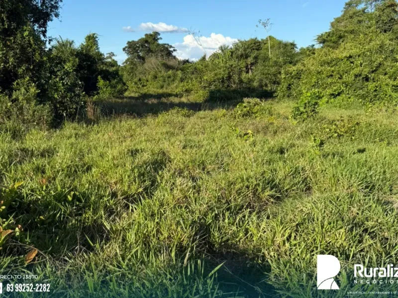 Fazenda em Pequizeiro/Tocantins — Ref XHXAHU — Imagem 12