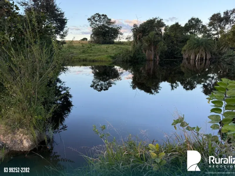 Fazenda em Pequizeiro/Tocantins — Ref XHXAHU — Imagem 13