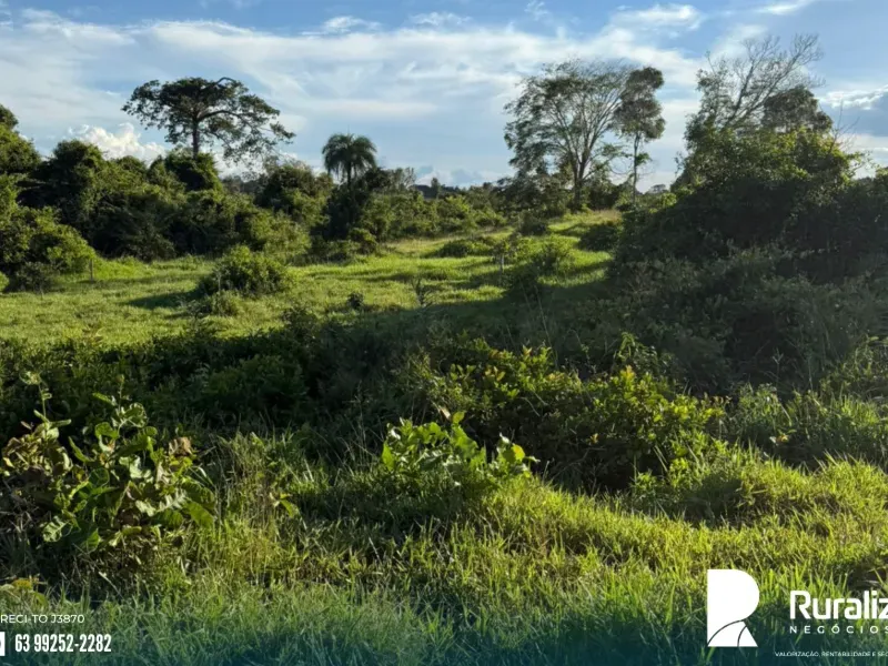 Fazenda em Pequizeiro/Tocantins — Ref XHXAHU — Imagem 14