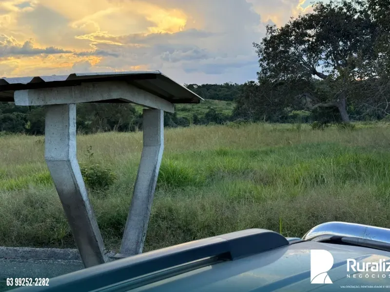 Fazenda em Pequizeiro/Tocantins — Ref XHXAHU — Imagem 15