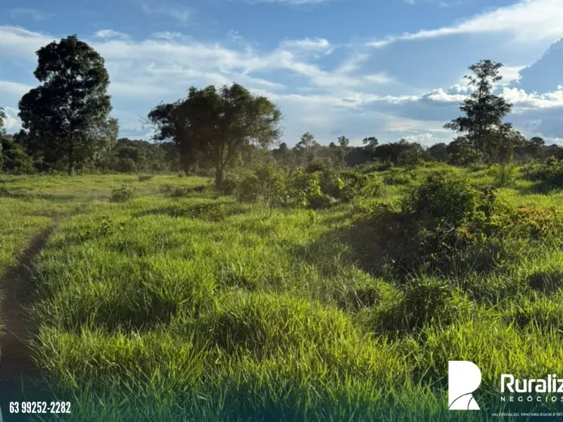 Fazenda em Pequizeiro/Tocantins — Ref XHXAHU — Imagem 16