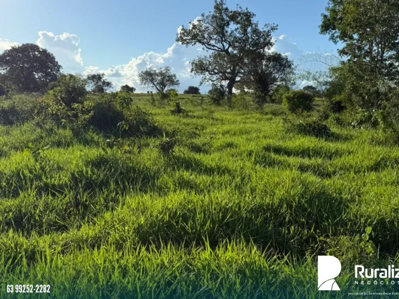 Fazenda em Pequizeiro/Tocantins — Ref XHXAHU — Imagem 17
