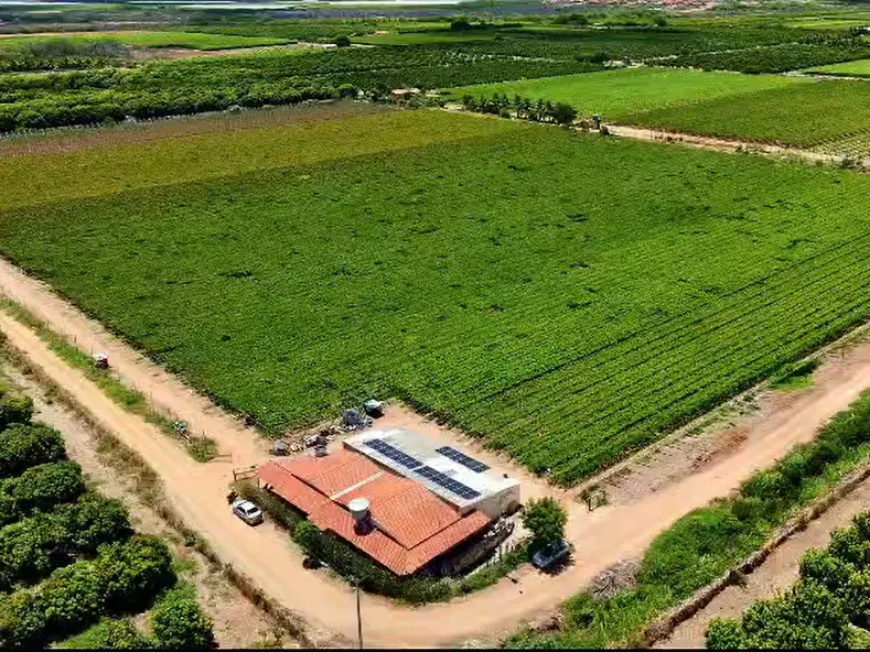Imóvel rural em Petrolina/Pernambuco — Ref LPXOU61
