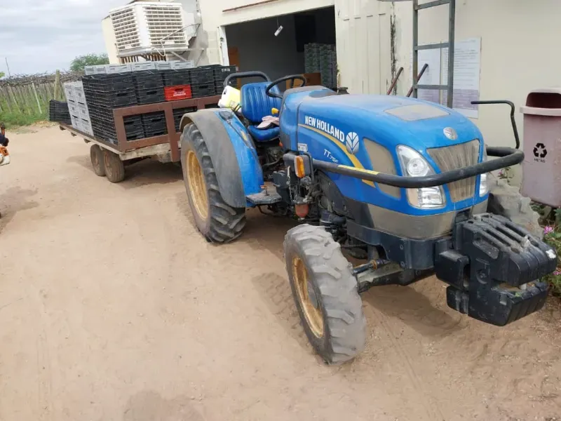 Fazenda em Petrolina/Pernambuco — Ref LPXOU6 — Imagem 3
