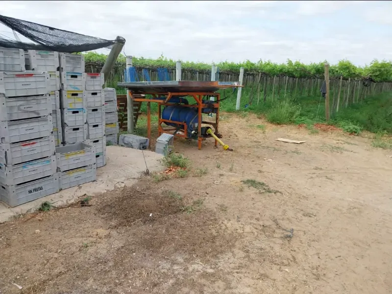 Fazenda em Petrolina/Pernambuco — Ref LPXOU6 — Imagem 5