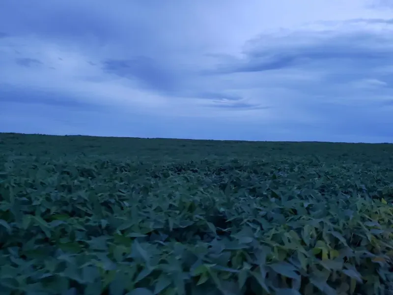 Fazenda em Planalto da Serra/Mato Grosso — Ref YGW2GT — Imagem 5