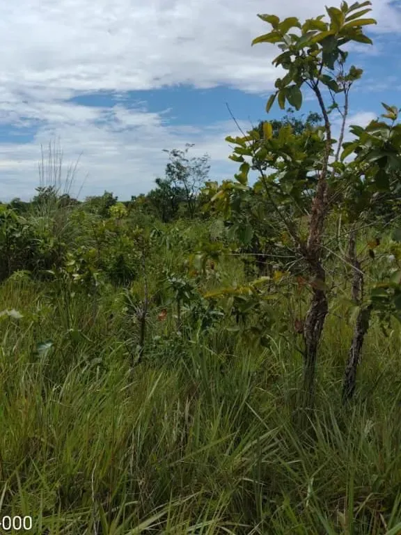 Fazenda em Planalto da Serra/Mato Grosso — Ref YGW2GT — Imagem 7