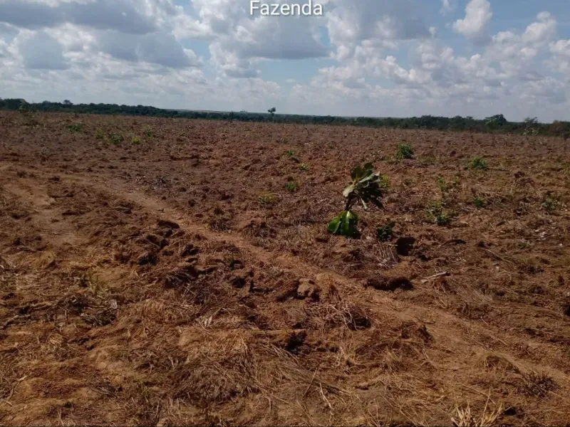 Fazenda em Planalto da Serra/Mato Grosso — Ref YGW2GT — Imagem 8