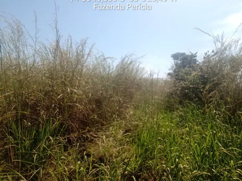 Fazenda em Planalto da Serra/Mato Grosso — Ref YGW2GT — Imagem 9