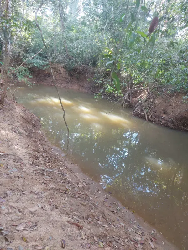 Fazenda em Planalto da Serra/Mato Grosso — Ref YGW2GT — Imagem 10