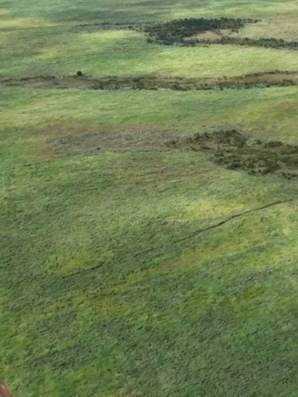 Fazenda em Planalto da Serra/Mato Grosso — Ref YGW2GT — Imagem 13