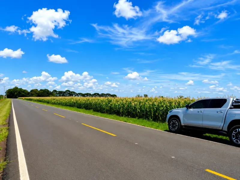 Imóvel rural em Porto Amazonas/Paraná — Ref MH6T1B1