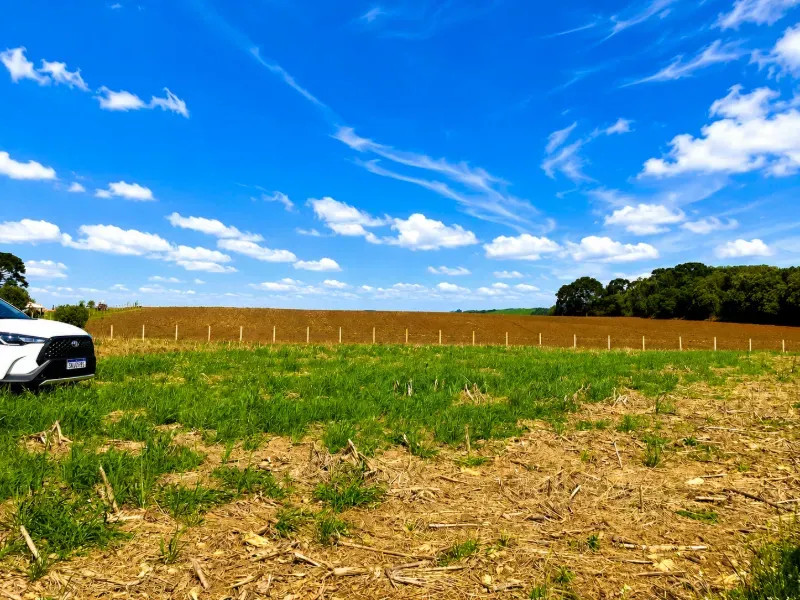 Fazenda em Porto Amazonas/Paraná — Ref MH6T1B — Imagem 5