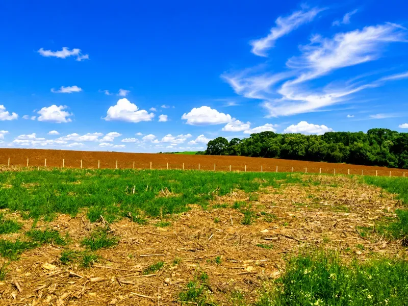 Fazenda em Porto Amazonas/Paraná — Ref MH6T1B — Imagem 7