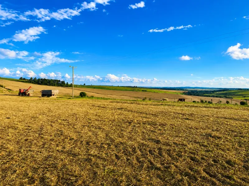 Fazenda em Porto Amazonas/Paraná — Ref F8P1S5 — Imagem 7