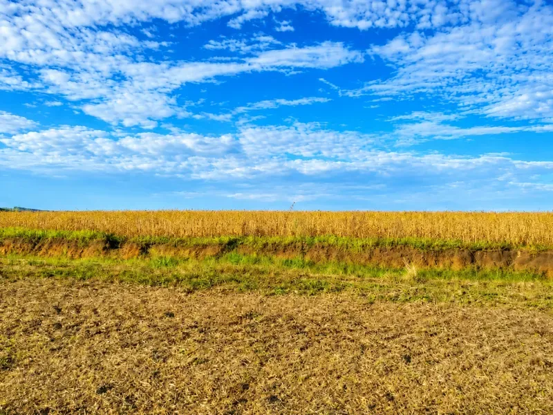 Fazenda em Porto Amazonas/Paraná — Ref F8P1S5 — Imagem 9