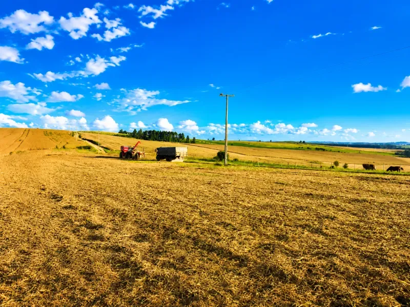 Fazenda em Porto Amazonas/Paraná — Ref F8P1S5 — Imagem 6