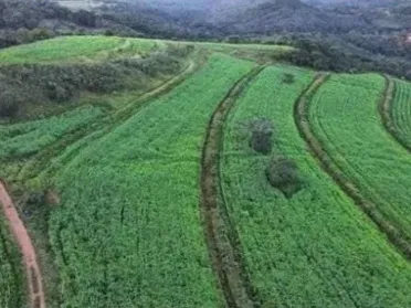 Fazenda em Presidente Olegário/Minas Gerais — Ref E0Z5HF — Imagem 17