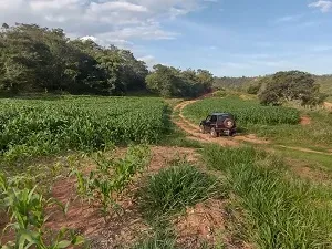Imóvel rural em Presidente Olegário/Minas Gerais — Ref E0Z5HF1