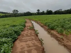 Fazenda em Presidente Olegário/Minas Gerais — Ref E0Z5HF — Imagem 3