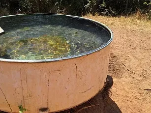Fazenda em Presidente Olegário/Minas Gerais — Ref E0Z5HF — Imagem 10