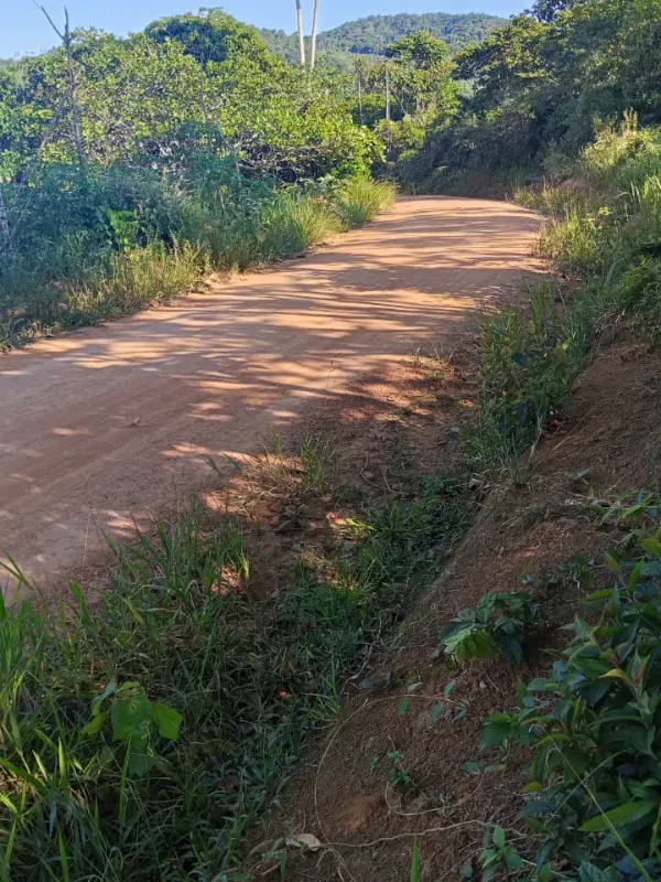 Fazenda em Presidente Tancredo Neves/Bahia — Ref NEM08H — Imagem 3