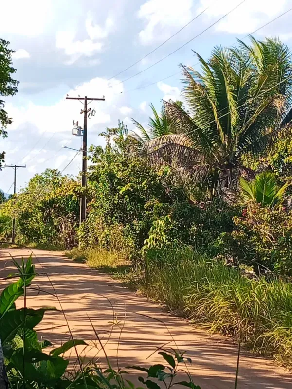 Fazenda em Presidente Tancredo Neves/Bahia — Ref NEM08H — Imagem 4