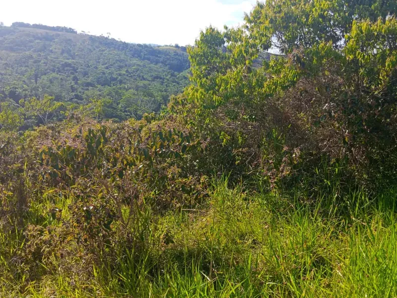 Fazenda em Presidente Tancredo Neves/Bahia — Ref NEM08H — Imagem 5