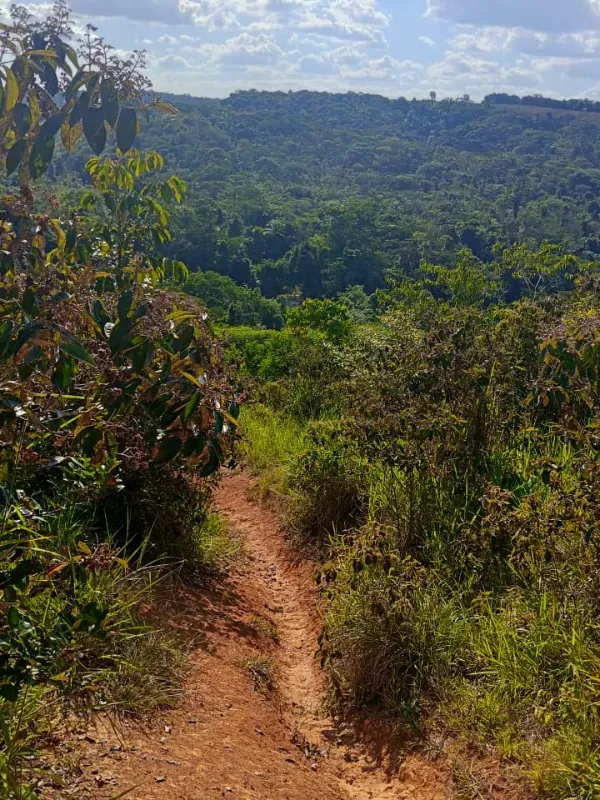 Fazenda em Presidente Tancredo Neves/Bahia — Ref NEM08H — Imagem 6