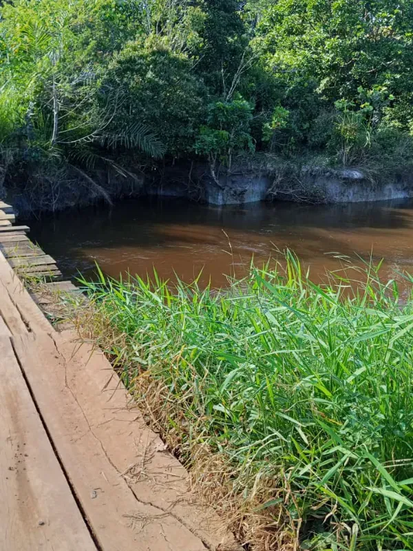 Fazenda em Presidente Tancredo Neves/Bahia — Ref NEM08H — Imagem 7
