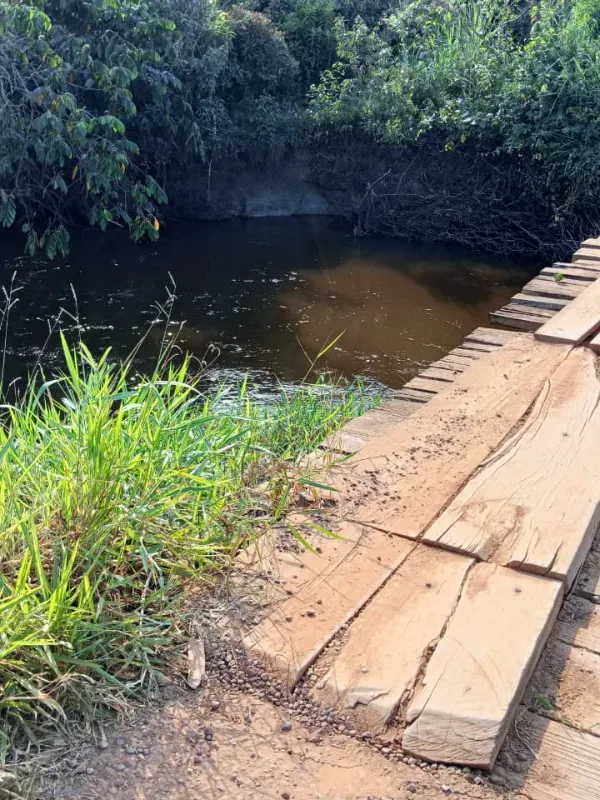 Fazenda em Presidente Tancredo Neves/Bahia — Ref NEM08H — Imagem 2