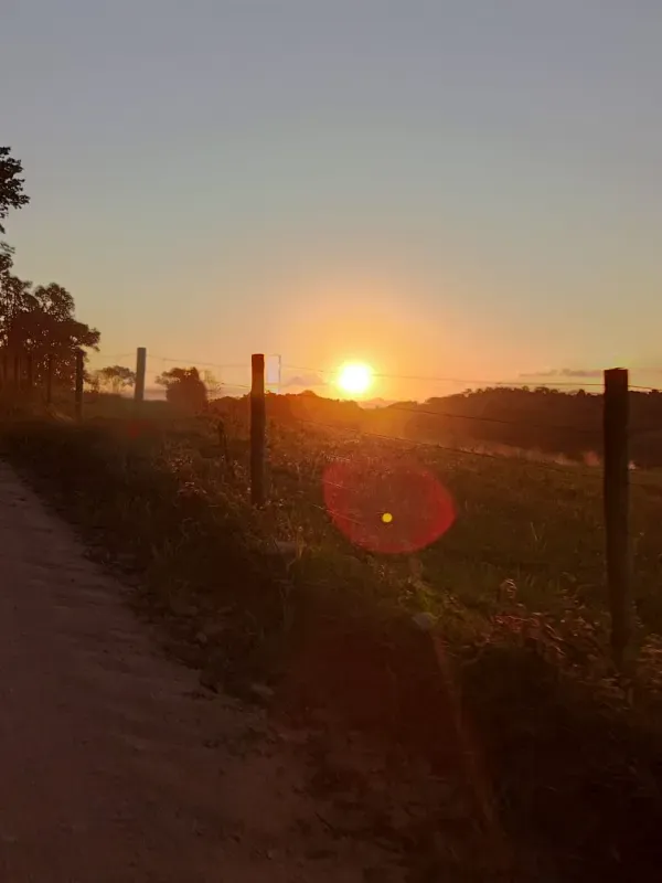 Imóvel rural em Presidente Tancredo Neves/Bahia — Ref NEM08H1