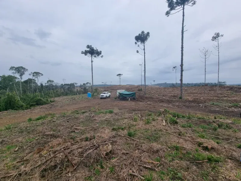 Fazenda em Rio Negrinho/Santa Catarina — Ref 89G20W — Imagem 3