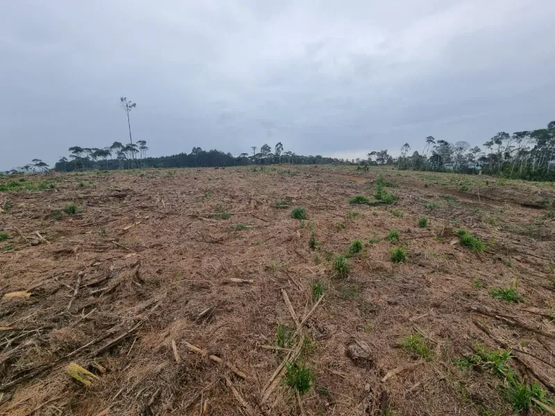 Fazenda em Rio Negrinho/Santa Catarina — Ref 89G20W — Imagem 4