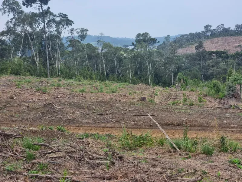 Fazenda em Rio Negrinho/Santa Catarina — Ref 89G20W — Imagem 8