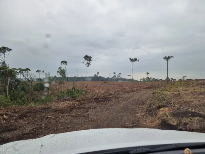 Fazenda em Rio Negrinho/Santa Catarina — Ref 89G20W — Imagem 9